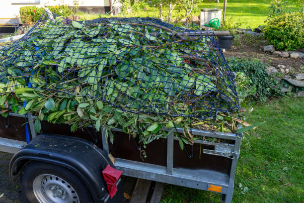 Shed Removal in West Berlin, NJ